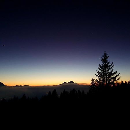 Hotel Restaurant Alpina Rigi Kaltbad Eksteriør bilde
