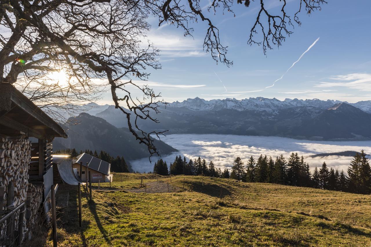 Hotel Restaurant Alpina Rigi Kaltbad Eksteriør bilde
