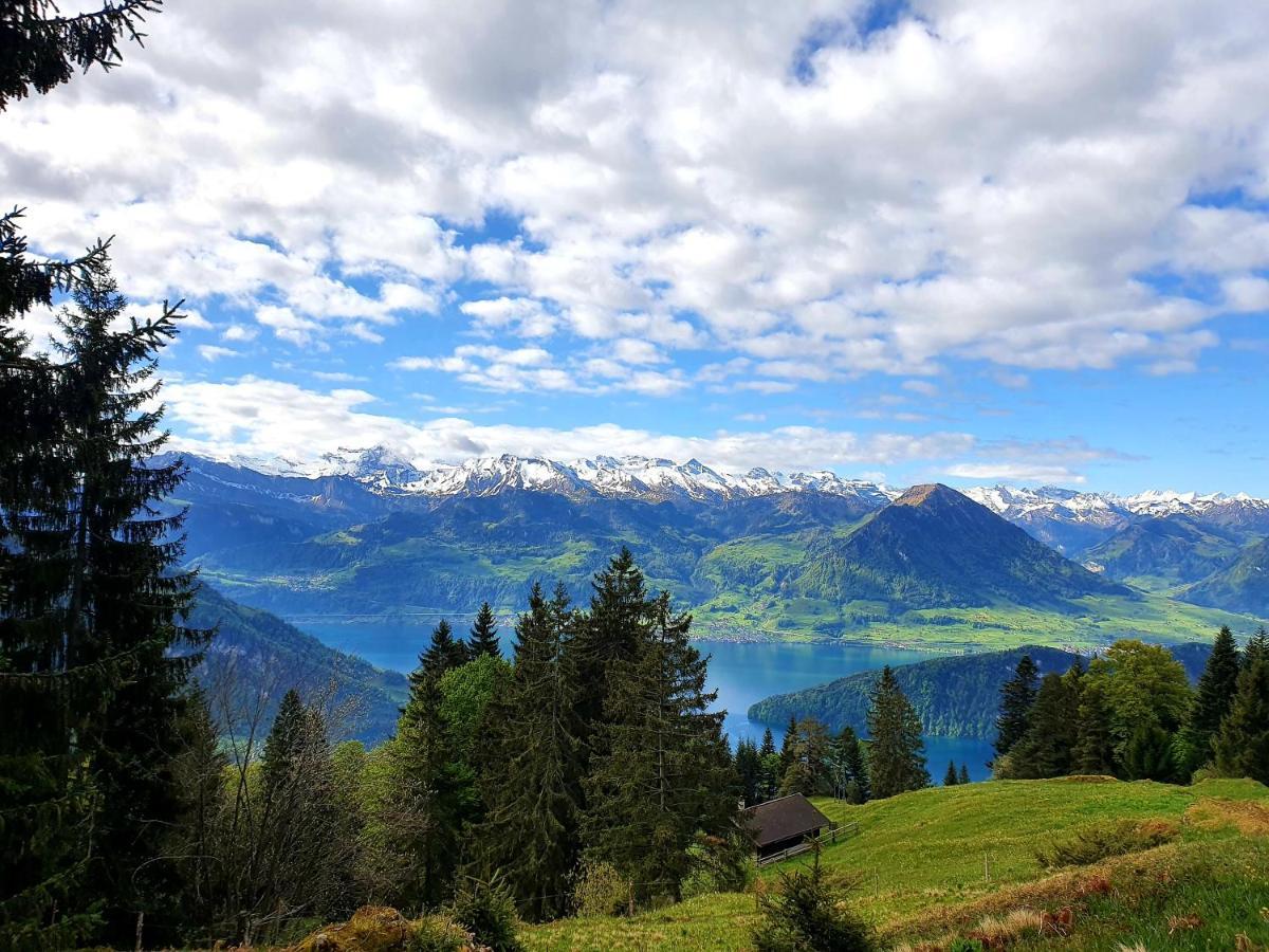 Hotel Restaurant Alpina Rigi Kaltbad Eksteriør bilde