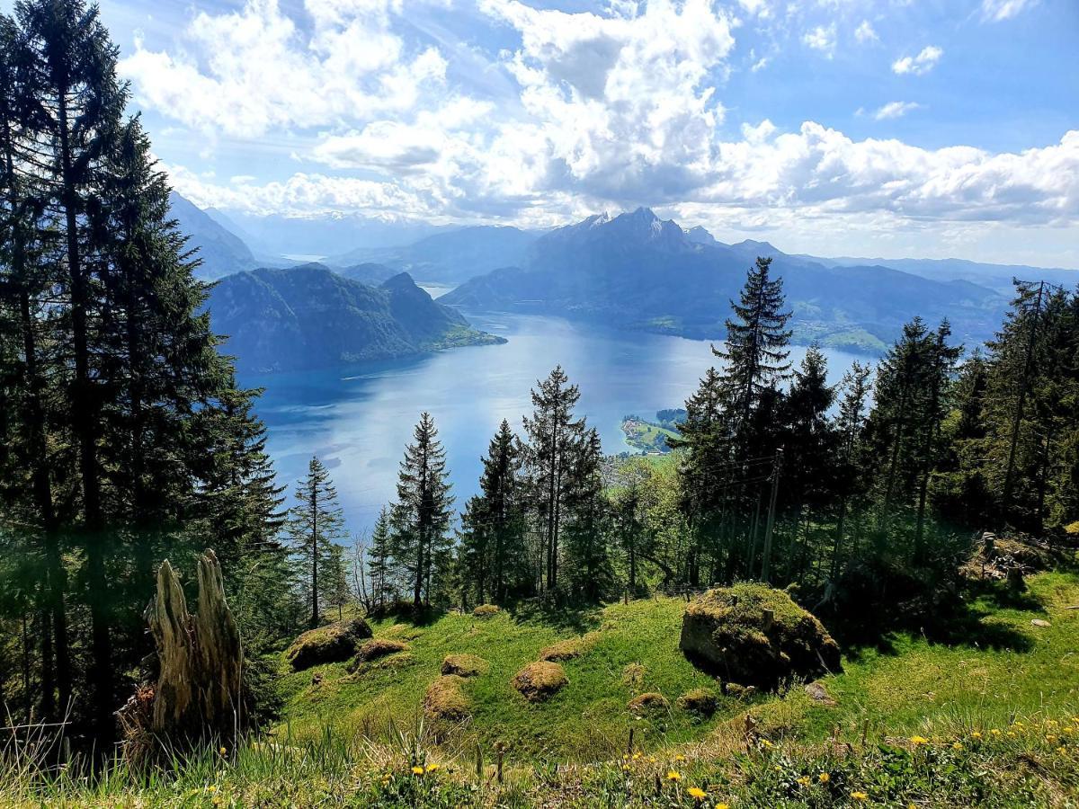 Hotel Restaurant Alpina Rigi Kaltbad Eksteriør bilde